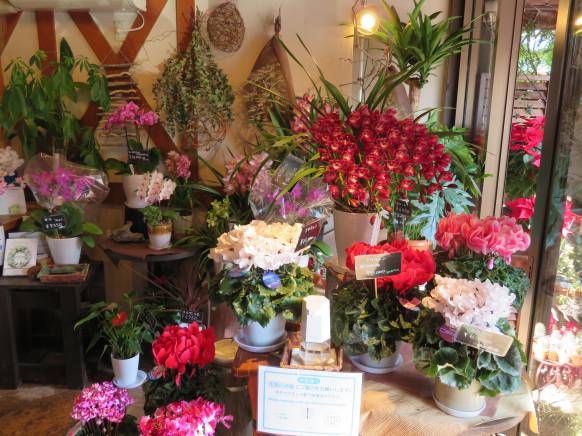 「フラワーショップやざき」　（神奈川県鎌倉市）の花屋店舗写真2